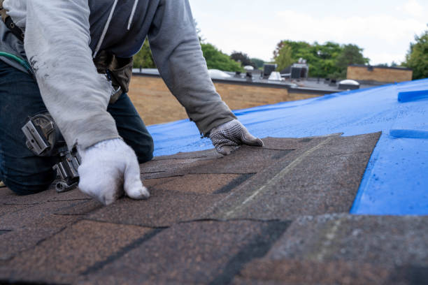 Best Roof Waterproofing Services  in Prairie Du Sac, WI