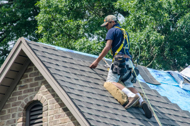 Best Shingle Roofing Installation  in Prairie Du Sac, WI